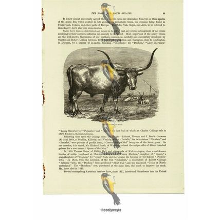 Hungarian Bull, Book Illustration (Print), 1884