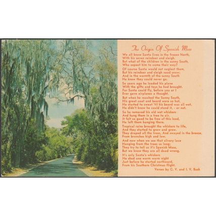 The Origin of Spanish Moss, 1965 - Photo Arts Postcard