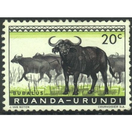 Ruanda 1959 - SG204 - 20c black/green - African Buffaloes - MH