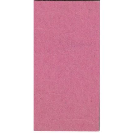 RYDE Isle of Wight - SHANKLIN British Railways (S) Ticket 1981 BR 0114