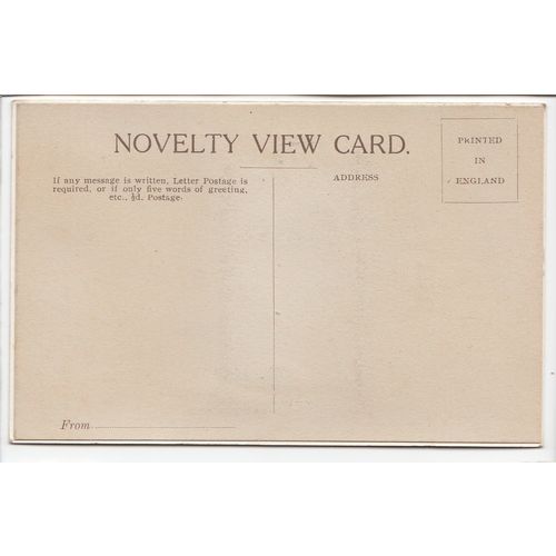 Mother Shipton The Inn Sign at Knaresborough Novelty Postcard