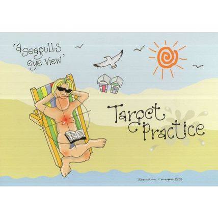 Seagull Bird Shooting Poos at Eastbourne Target Practice Comic Postcard