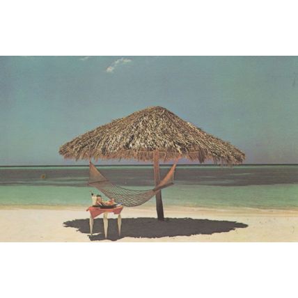Cat Stevens New Album Foreigner Island Records Music Postcard