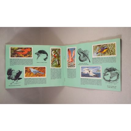 Brooke Bond Tea Card Album: 1974 Tropical Birds, Complete With All Cards