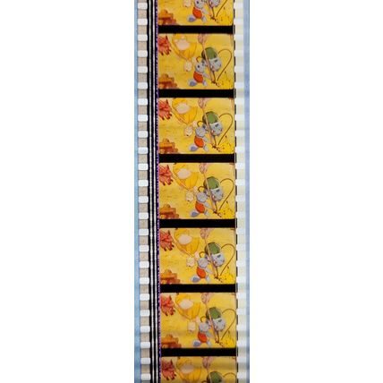 Pokemon . Pk FBP - C075w . 1 STRIP OF 5 - 35MM FILM CELLS