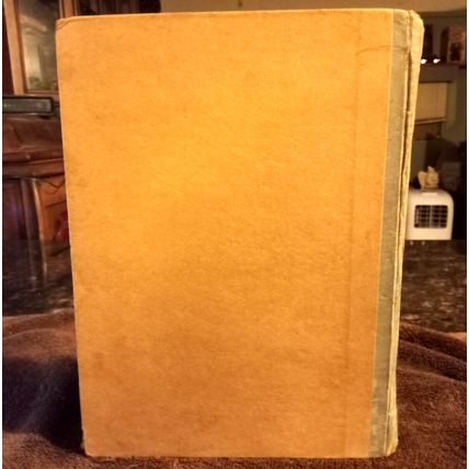 Children's Book Robinson Crusoe &The White Cat By McLoughlin Bros Circa 1900