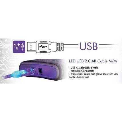 BlueDiamond BLUE LED USB 2.0 AB Cable - 10ft