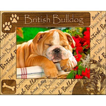 British Bulldog Laser Engraved Wood Picture Frame (5 x 7)