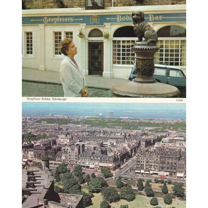 Posh Lady Admiring Greyfriars Bobby Bar Edinburgh 1970s Postcard