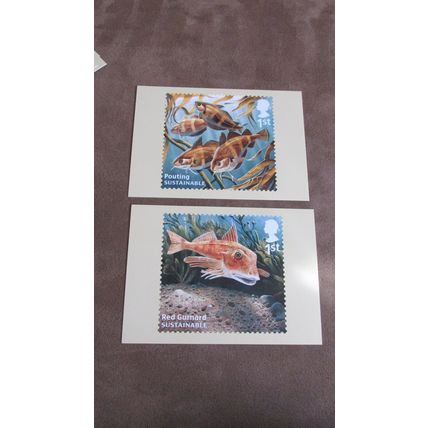 2014 GB PHQ Postcards - Sustainble / Endangered Sea Fish
