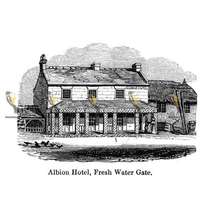 Albion Hotel, Fresh Water Gate, Isle Of Wight, England 1840, MODERN REPRODUCTION