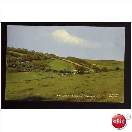 Berkshire SPEEN Flowers Bottom Postcard by Frith (SPN.10)