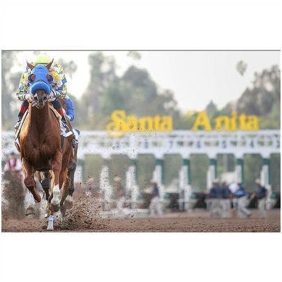 DVD - BEST of SANTA ANITA 1997...SILVER CHARM/Free House/GENTLEMEN/Sharp Cat