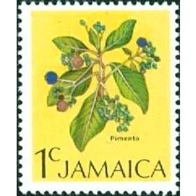 Jamaica 1972 1c Pimento Plant Unmounted Mint NHM SG 344 Sc 343 postage stamp