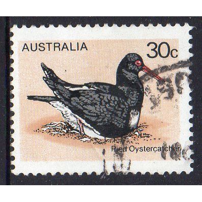 Australia 1978 Bird Definitives (Ist Series) - Pied Oystercatcher 30c Used