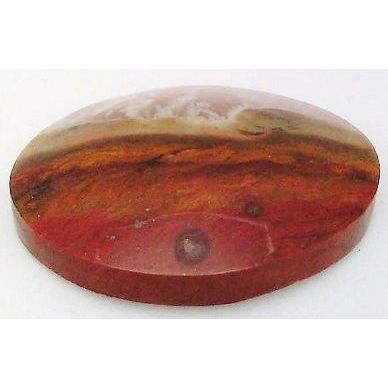 Petrified Wood Freeform Gemstone Cabochon 40