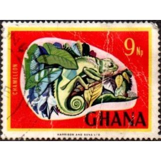 Ghana 9Np Value. Chameleon. Fine Used