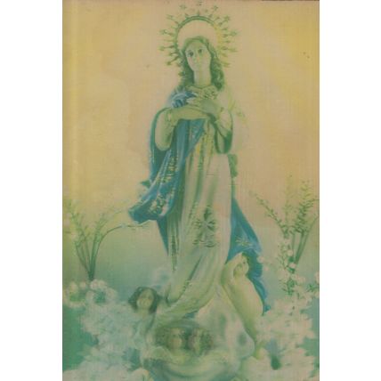 The Virgin Mary 3D Three Dimensional Christian Postcard