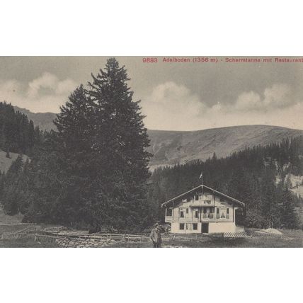 Confused Man Outside Adelboden Schermtanne Restaurant Swiss Postcard