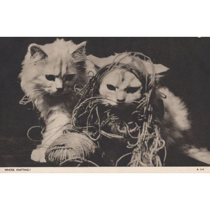 Whose Knitting Jarrold Sewing Balls Of Wool Cat Chrome Series Postcard
