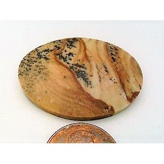 Picture Jasper Freeform Gemstone Cabochon 242