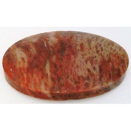 Petrified Wood Freeform Gemstone Cabochon 43