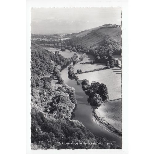 River Wye at Symonds Yat RP Postcard Herefordshire 9022
