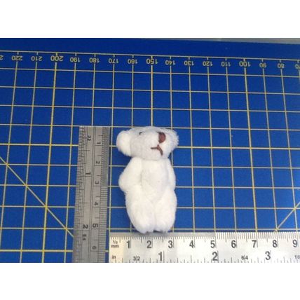 White Fluffy Teddy - Miniature