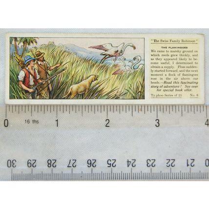 1935 Typhoo Swiss Family Robinson No. 6 The Flamingoes
