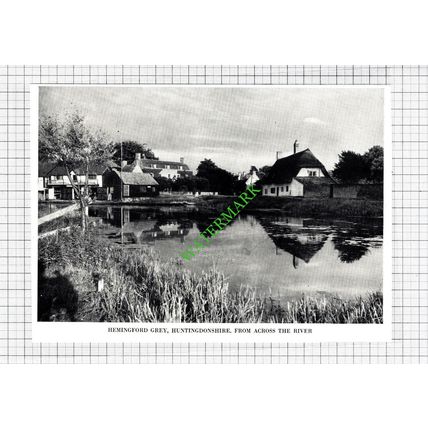 Hemingford Grey Huntingdonshire - 1950 Cutting / Print