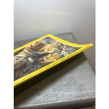 National Geographic Magazine February 1997- Siberian Tigers Collectable w