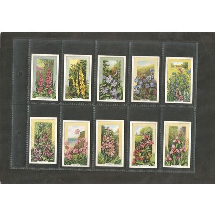 Cigarette Cards Gallaher Wild Flowers 1939 Full set of 48