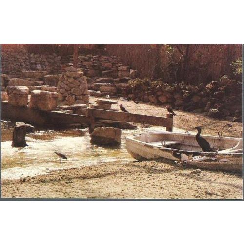 Farnham, Surrey - Birdworld, Holt Pound - postcard c.1980s