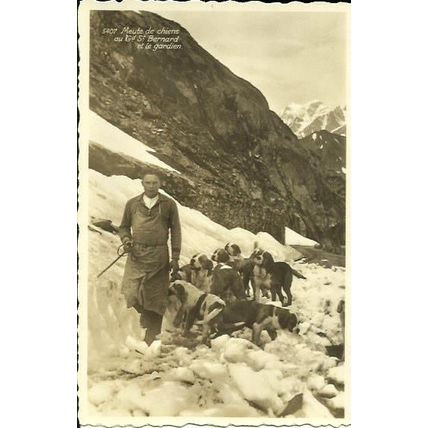 Animals ST BERNARD DOGS Postcard (Perrochet 5407)