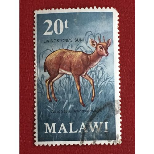 Malawi Queen Elizabeth QEII 1971 Antelopes 20t Suni Used 2 SG 382 Sc 244 stamp