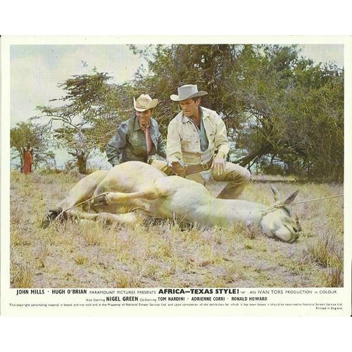 AFRICA - TEXAS STYLE John Mills, Hugh O'Brian F-O-H Stills (7)