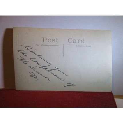 A LADY antique portrait photograph postcard by F G Gibbs, the Studio of Annan /