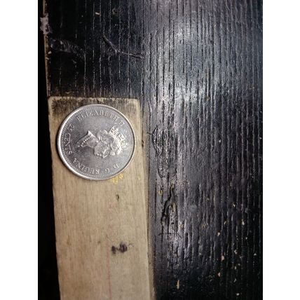 2000 Canadian Canada Quarter 25 Twenty Five Cent NOVEMBER FREEDOM