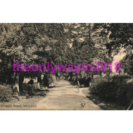 Hitchin Road, Whitwell, Herts, Postcard 1914
