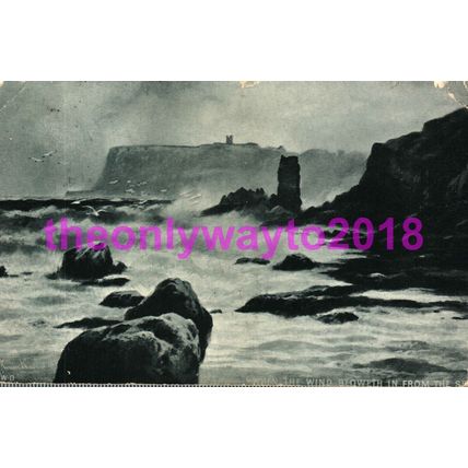 Wind Bloweth in from the SW (Scarborough?), Dainty Postcard 1905