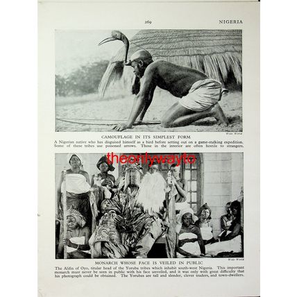 Typical Nigerian Beauty (Alifin Of Oyo, Yoruba +, Reverse), Book Illustration