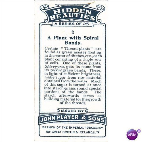Players Hidden Beauties Card No. 02 A Plant With Spiral Bands