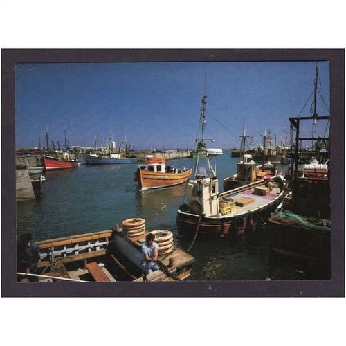 SEAHOUSES HARBOUR - NORTHUMBERLAND - NICE COLOURED PHOTO - UNUSED #2