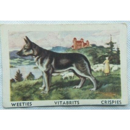 Australian Vitabrits Weeties Tailwaggers 58 Alsatian