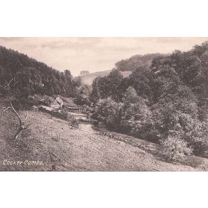 Cocker Combe Cockercombe Somerset Vintage Postcard