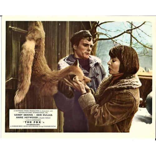 THE FOX Sandy Dennis, Keir Dullea, Anne Heywood 1967 F-O-H Stills Set (8)