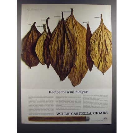 1964 Wills Castella Cigars Ad - Recipe for a mild cigar