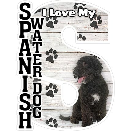 I Love My Spanish Water Dog Fridge Magnet