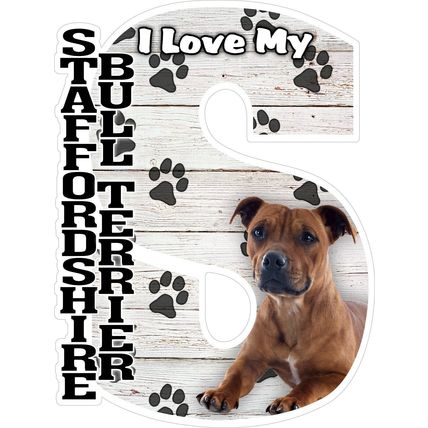 I Love My Staffordshire Bull Terrier Fridge Magnet
