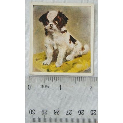 1936 Godfrey Phillips Our Puppies No. 15 The Japanese